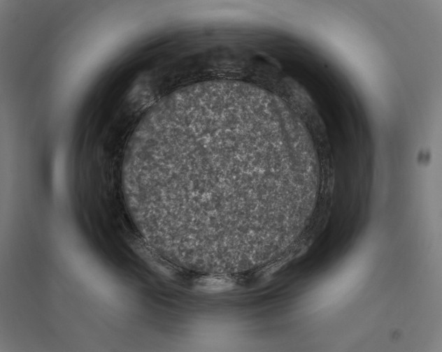 X0000094440765200712061137