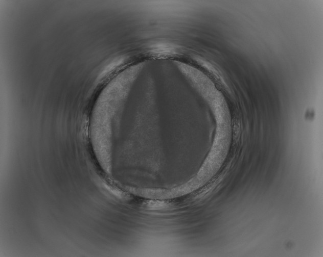 X0000094440766200712061137