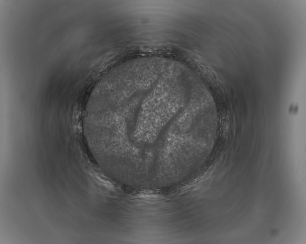 X0000094440770200712061137