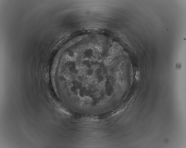 X0000094440771200712061137