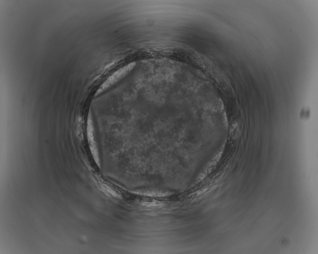 X0000094440772200712061137