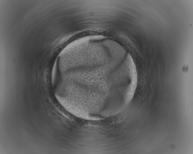 X0000094440773200712061137