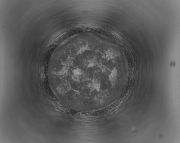 X0000094440774200712061137