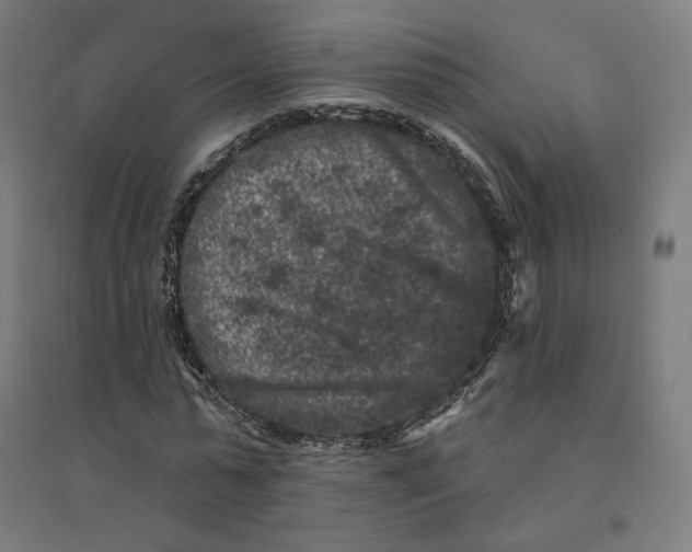 X0000094440775200712061137