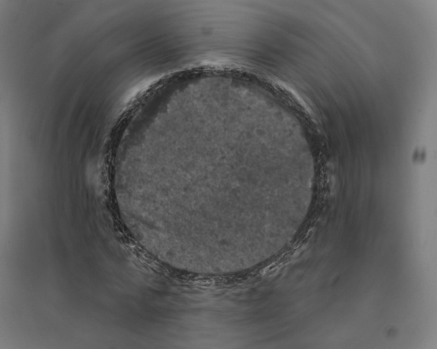 X0000094440776200712061137