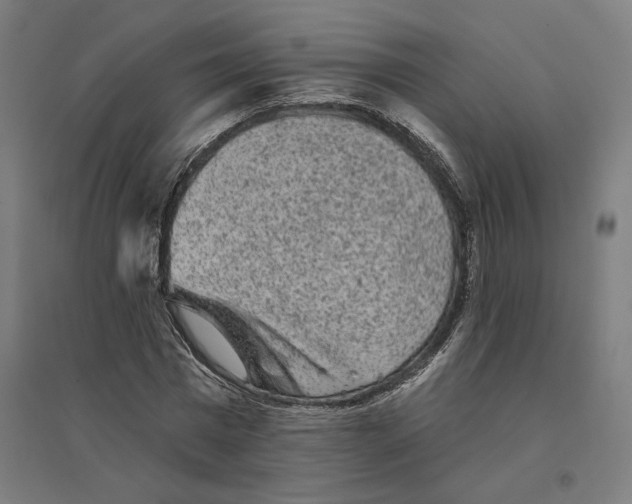 X0000094440777200712061137