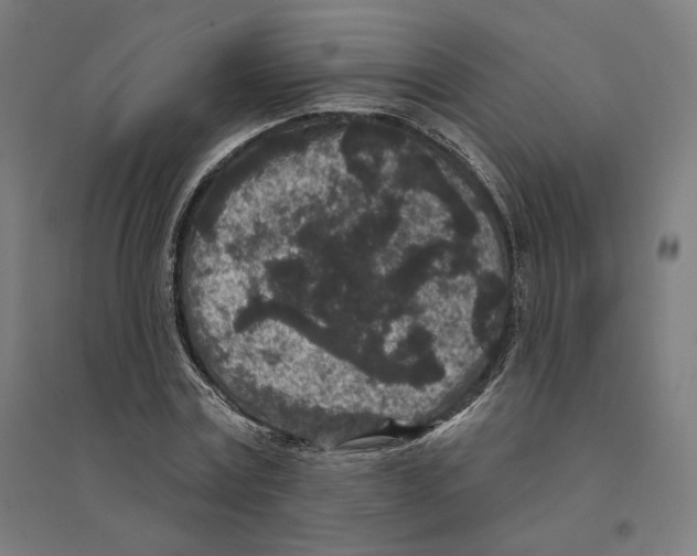 X0000094440779200712061137