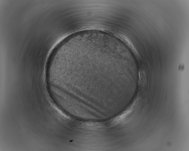 X0000094440780200712061137