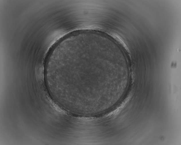 X0000094440781200712061136