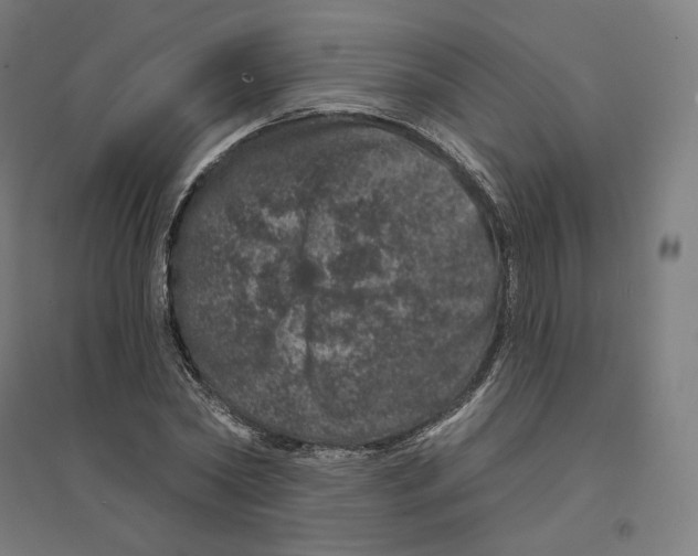 X0000094440782200712061136