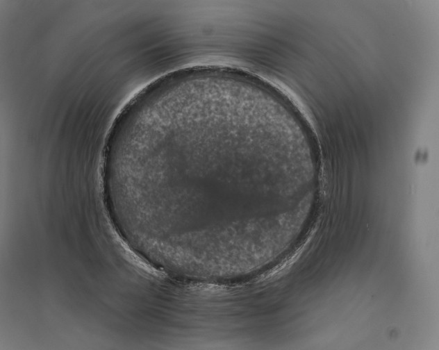 X0000094440783200712061136