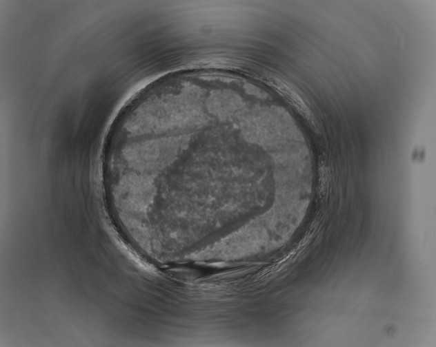 X0000094440784200712061136