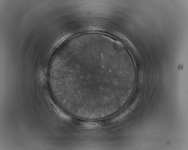 X0000094440785200712061136