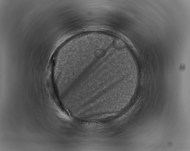 X0000094440786200712061136