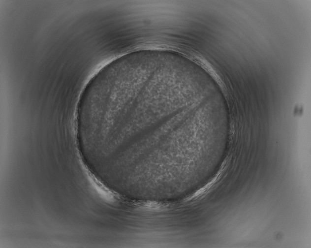 X0000094440787200712061136