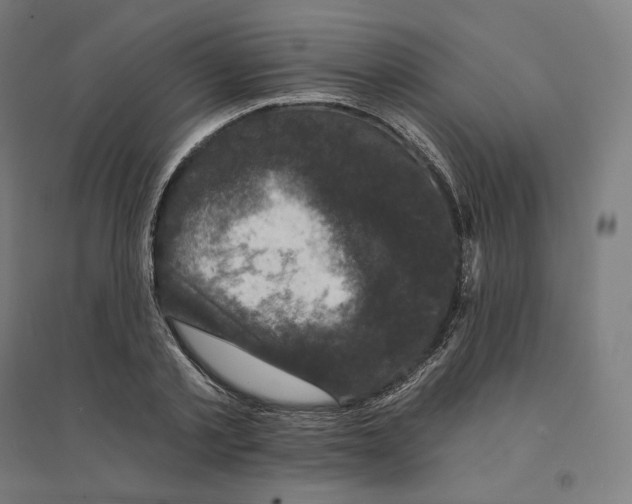 X0000094440789200712061136