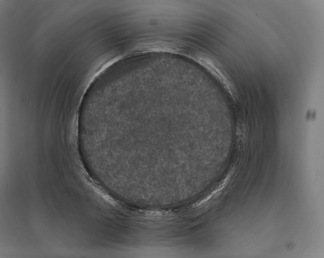 X0000094440790200712061136