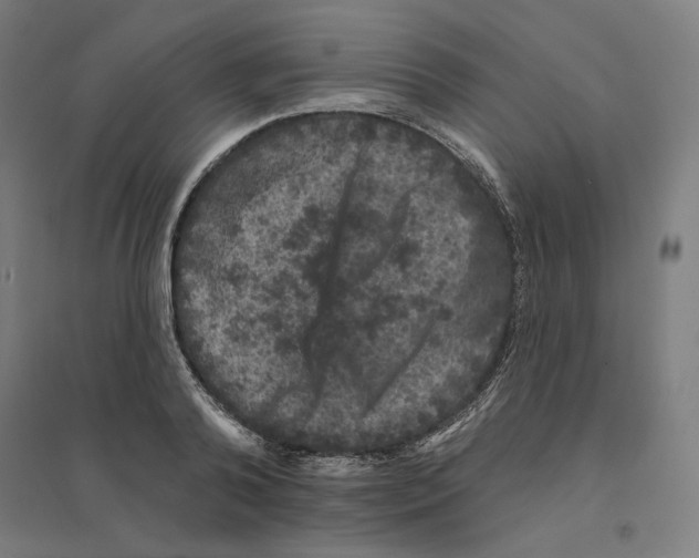 X0000094440792200712061136