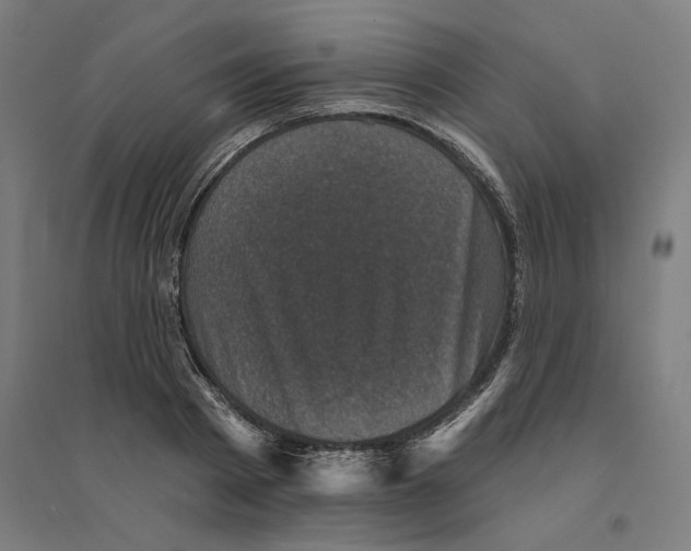 X0000094440793200712061136