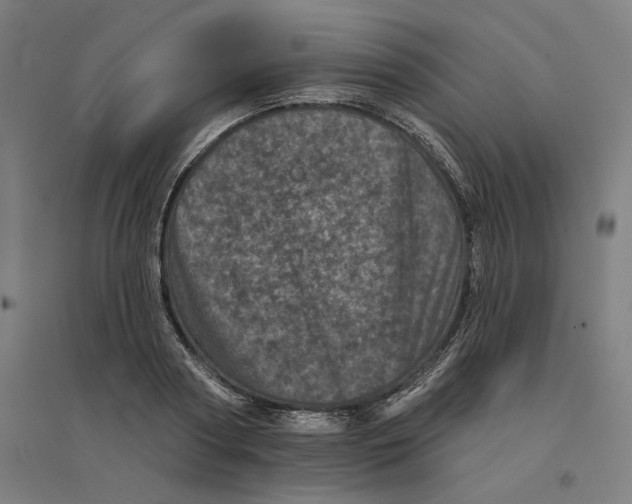 X0000094440794200712061136