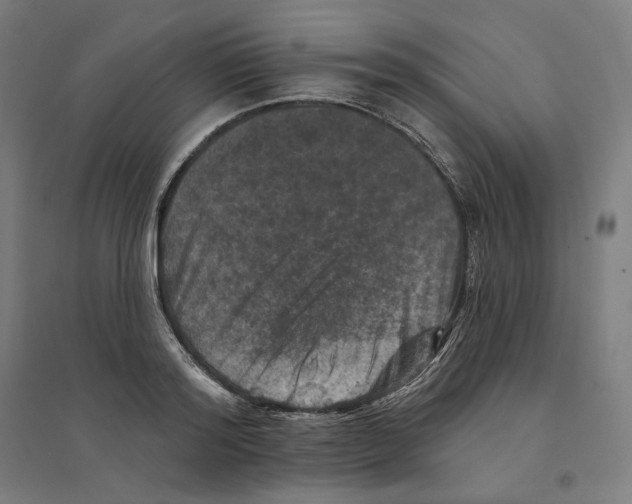 X0000094440796200712061136