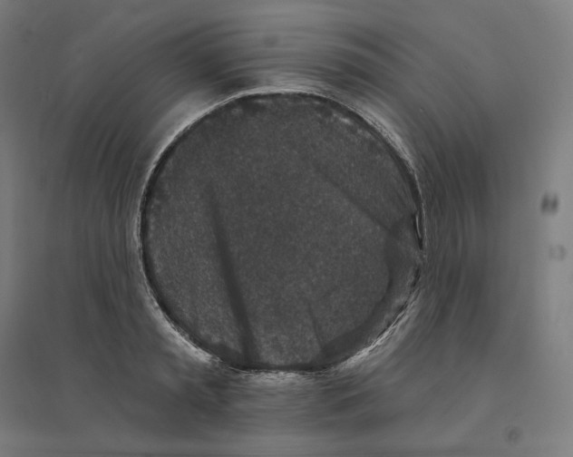 X0000094440797200712061136