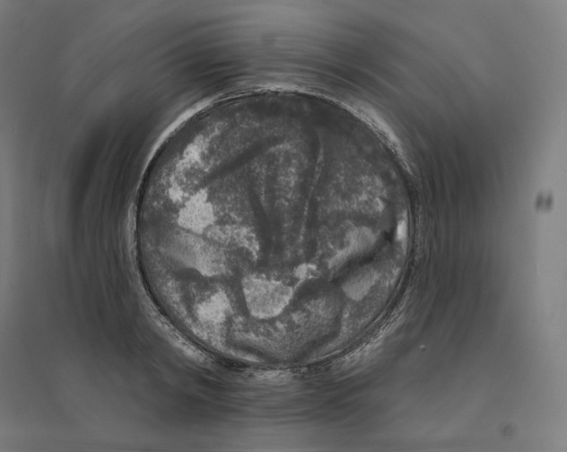 X0000094440798200712061136