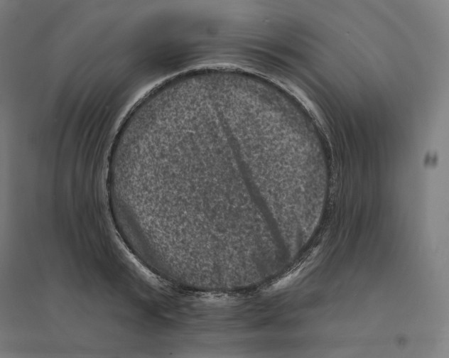 X0000094440799200712061136