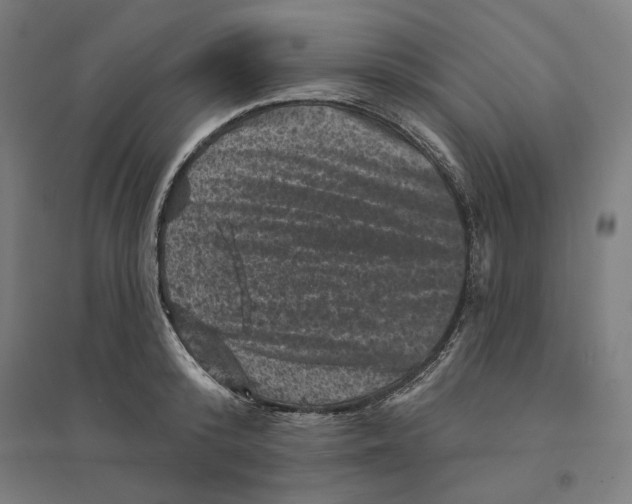 X0000094440800200712061136