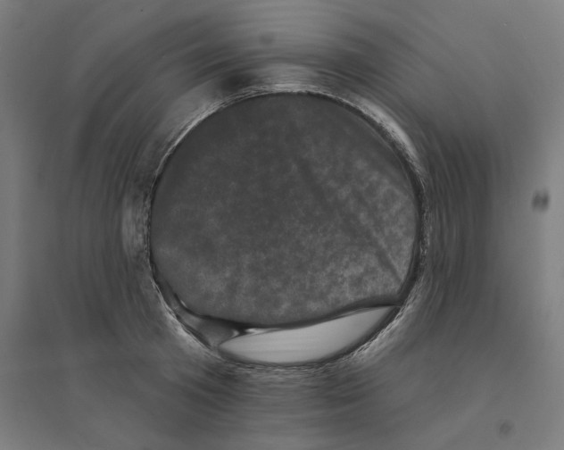 X0000094440801200712061136