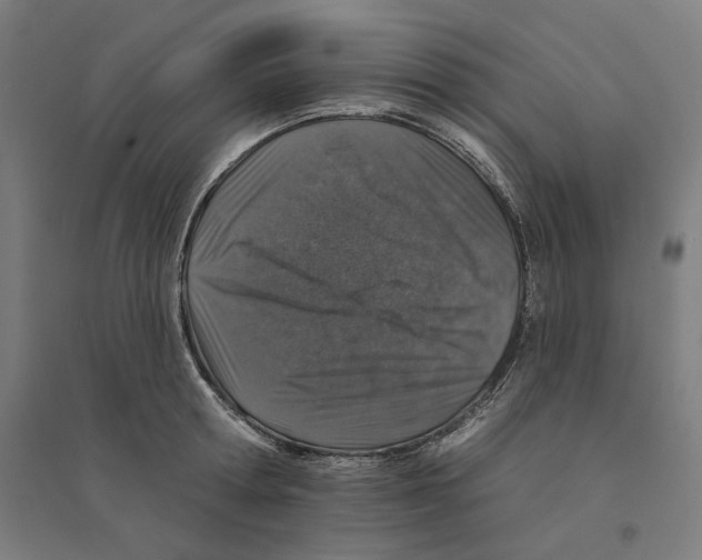 X0000094440802200712061136