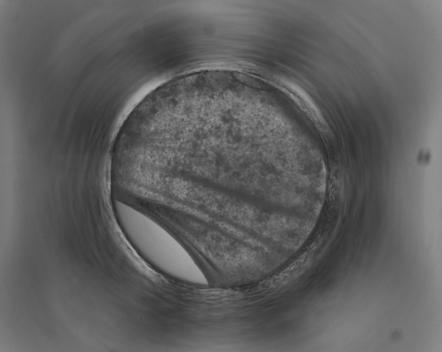 X0000094440804200712061136