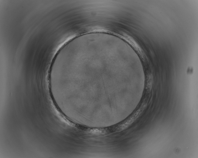 X0000094440806200712061136