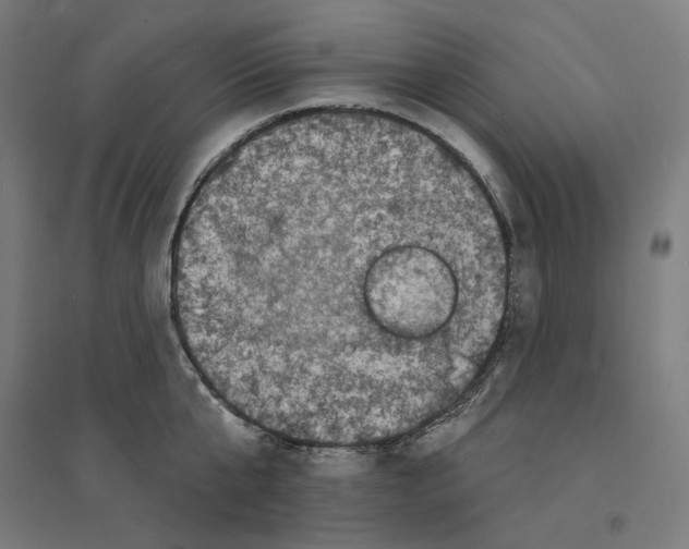 X0000094440807200712061136