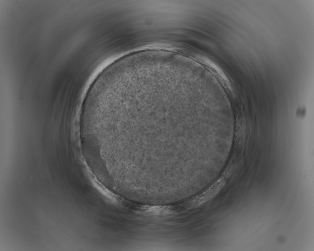 X0000094440808200712061136