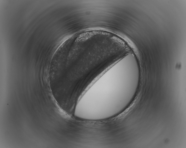 X0000094440809200712061136