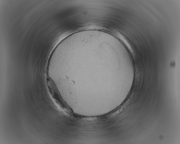 X0000094440810200712061136