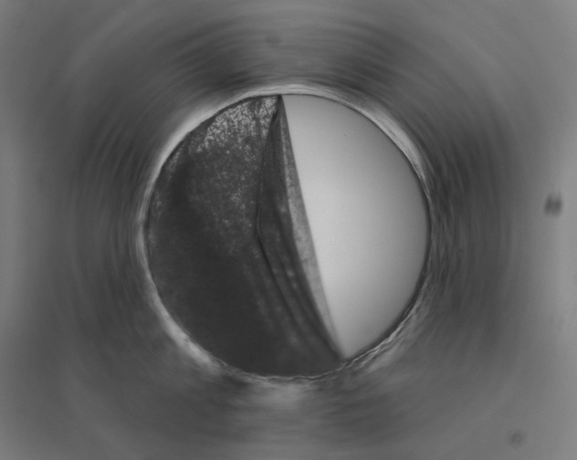 X0000094440813200712061136