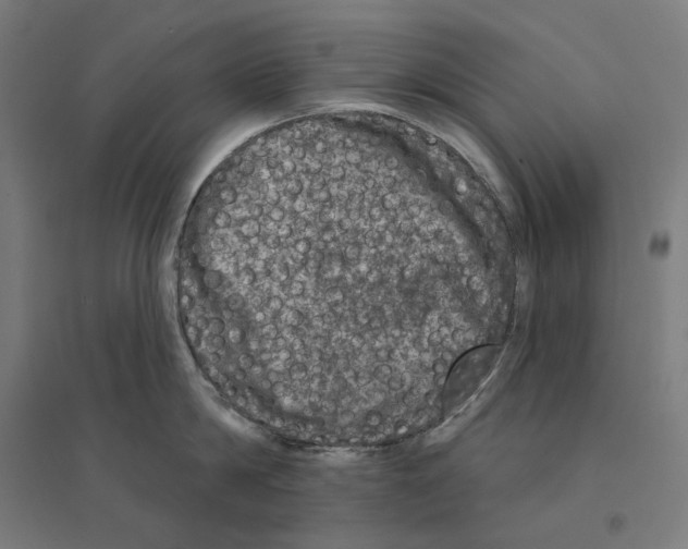 X0000094440814200712061136