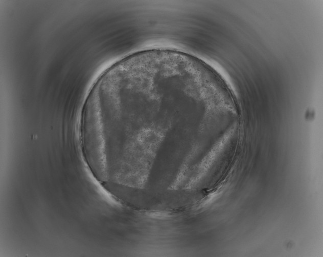 X0000094440815200712061136