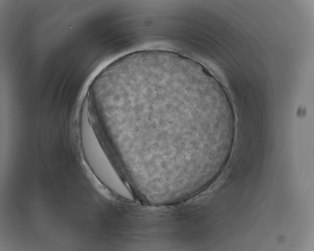 X0000094440816200712061136