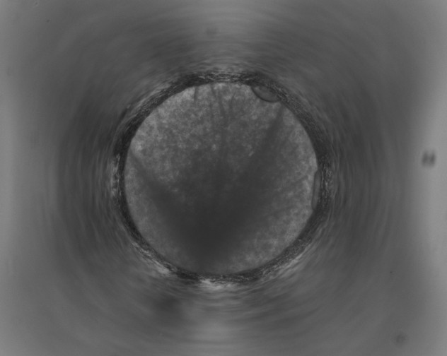 X0000094440818200712061135