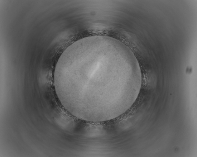 X0000094440820200712061135