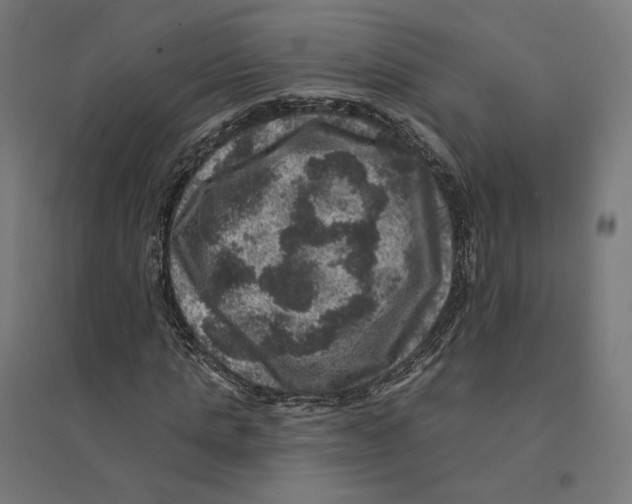 X0000094440821200712061135