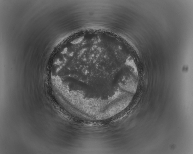 X0000094440823200712061135