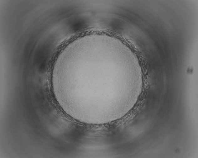 X0000094440824200712061135