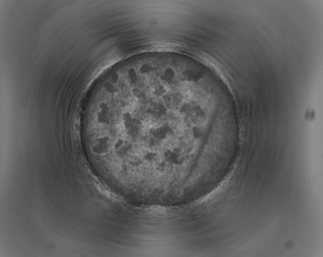 X0000094440827200712061135