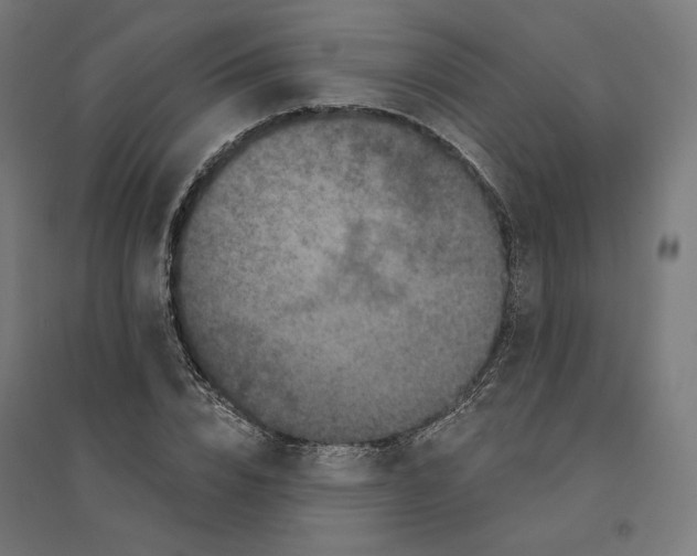 X0000094440832200712061135