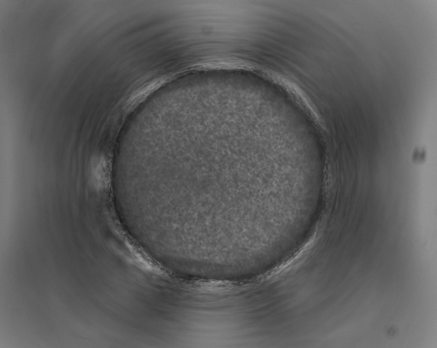 X0000094440833200712061136