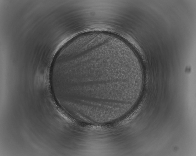 X0000094440834200712061136